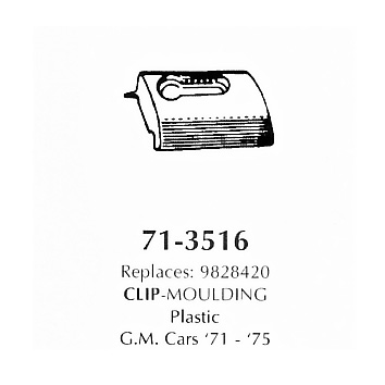 Clip- Moulding